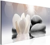 Schilderijen Op Canvas - Schilderij - Pebbles in Water (1 Part) Narrow 150x50 - Artgeist Schilderij