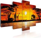 Schilderijen Op Canvas - Schilderij - Hot Safari 200x100 - Artgeist Schilderij