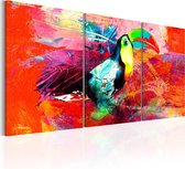 Schilderijen Op Canvas - Schilderij - Colourful Toucan 60x30 - Artgeist Schilderij