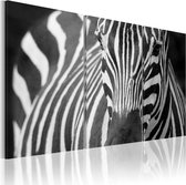 Schilderijen Op Canvas - Schilderij - Mevr. Zebra 60x40 - Artgeist Schilderij