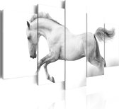 Schilderijen Op Canvas - Schilderij - Paard - passie en vrijheid 100x50 - Artgeist Schilderij