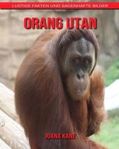 Orang Utan