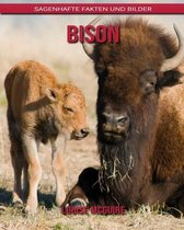 Bison