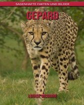 Gepard