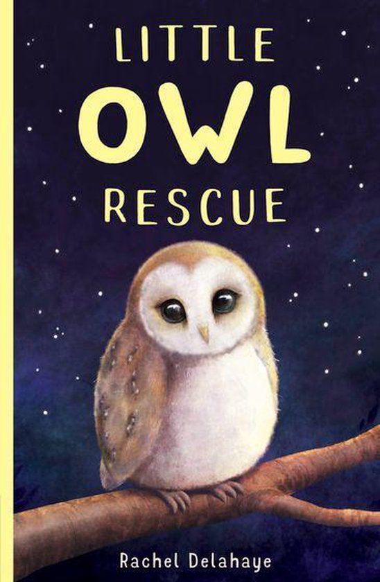 Little Animal Rescue 5 Little Owl Rescue (ebook), Rachel Delahaye