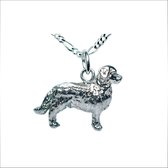 Berner Sennen Pup / Puber (medium) Hanger -merk COOLDOG™ in massief Zilver * inclusief ketting