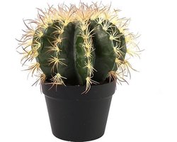 Cactus - groen - L18xB18xH30CM - Kunstplant