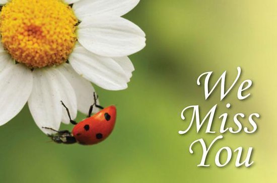 We Miss You Ladybug Postcard Pkg Of 25 Bol Com
