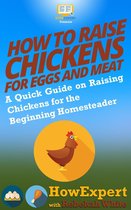 How to Raise Chickens for Eggs and Meat