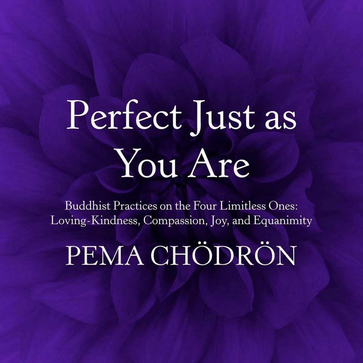 Perfect Just as You Are - Pema Chodron
