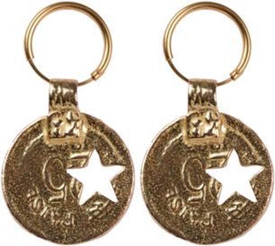 Collection la collection | Boucles d'oreilles avec placage d'or et pièce de  monnaie | bol.com