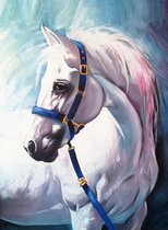 Diamond Painting - Paard - Geschilderd - Diamond Painting Voor Volwassenen - 20 x 30 cm