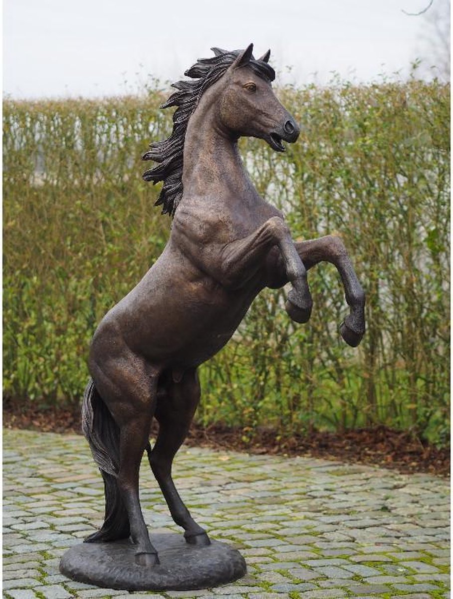 output Voeding Proberen Tuinbeeld - bronzen beeld - Steigerend paard 183 cm ruw - 185 cm hoog |  bol.com