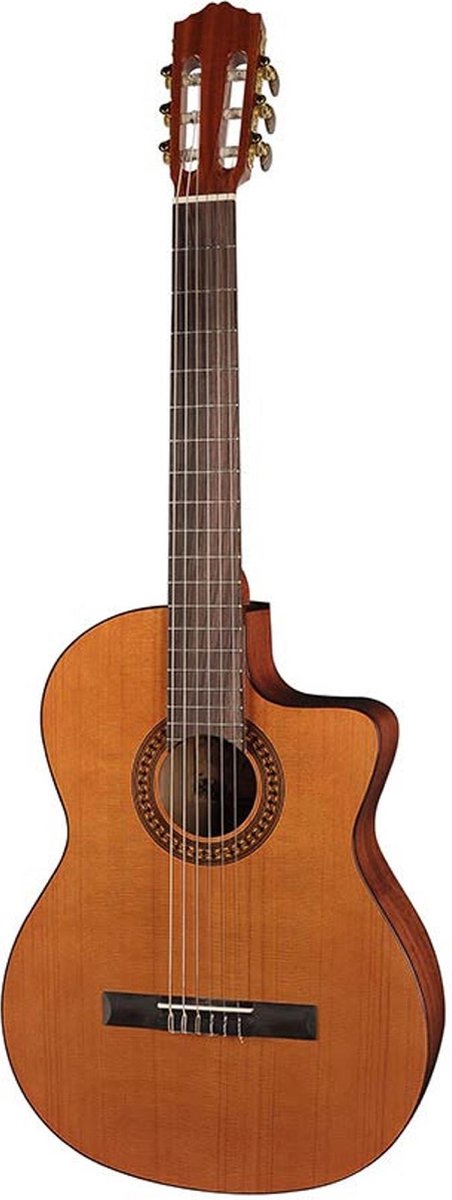 Salvador Cortez CC-22CE klassieke gitaar met massief bovenblad en Fishman versterkingselement