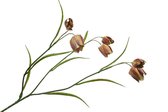 Silk-ka Kunstbloem-Zijden Bloem  Fritillaria Tak Bruin-Groen 60 cm  Voordeelaanbod van 2 stuks