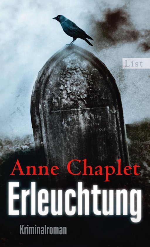 Ein Karen-Stark-und-Paul-Bremer-Krimi 8 - Erleuchtung - cover