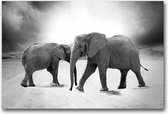 MN Collections - Schilderij - Animal Photography. - Zwart, Wit En Grijs - 120 X 80 Cm