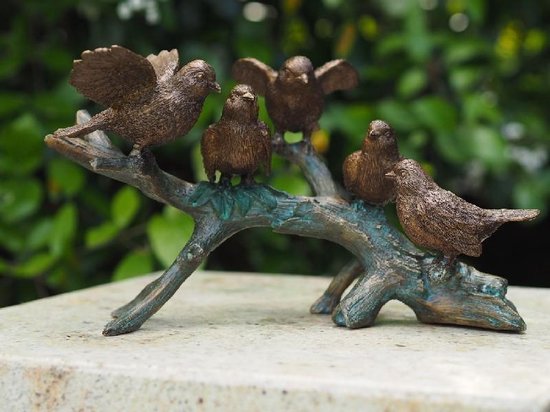 Beeldjes brons decoratie voor binnen en buiten – echte bronzen dieren  beelden musjes... | bol.com