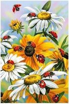 Daimond Painting kit Sun Flowers  40x60