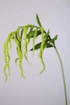 Viv! Home Luxuries Amaranthus - kunstbloem - groen - 112cm