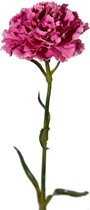 Viv! Home Luxuries Anjer - zijden bloem - roze - 53cm - Topkwaliteit