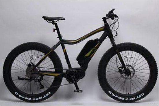 ebike fat bike