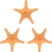 3x Zeesterren Asteroidea 8 cm - Strand thema deco zeester - Decoratie zeesterren - Maritieme decoratie