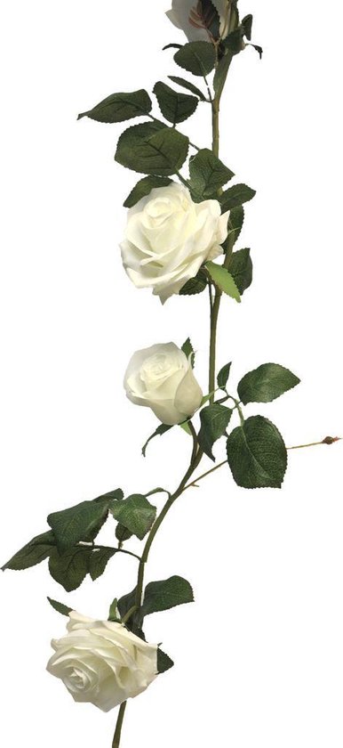 SENSE Guirlande de roses Dijon blanc pur - Guirlande de roses - Guirlande  de fleurs... | bol.com