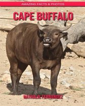 Cape Buffalo