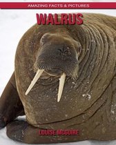 Walrus