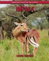 Impala