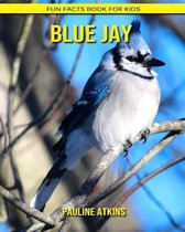 Blue Jay