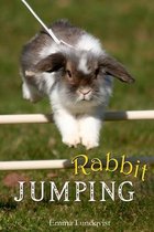 Rabbit Jumping