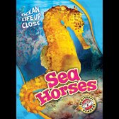 Sea Horses