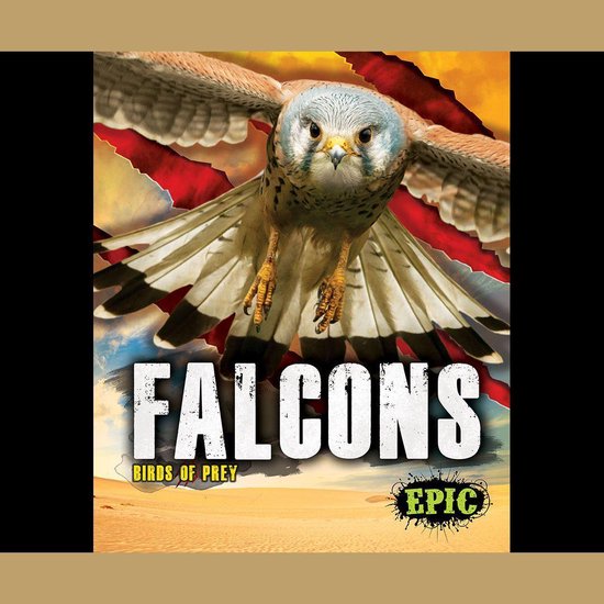 Falcons - cover