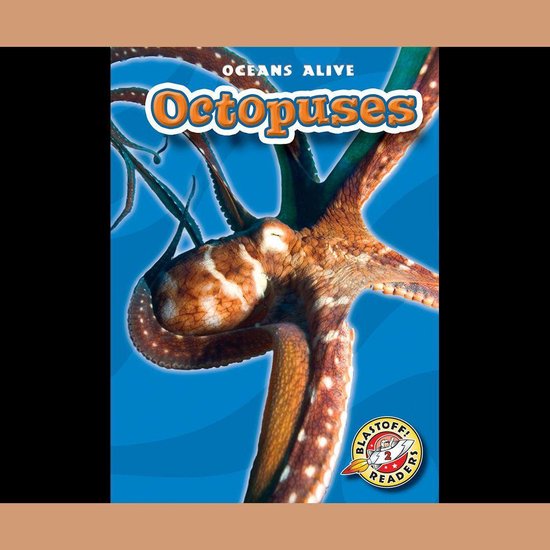 Octopuses - cover