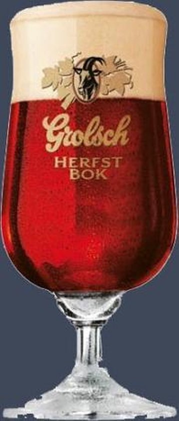 Onverbiddelijk daarna droog Grolsch Herfstbok Glas 25 cl - 6 stuks | bol.com