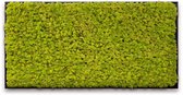 Mosschilderij 120cm x 60cm - rendiermos kleur: Spring Green - lijst: zwart hout. Schilderij van echt onderhoudsvrij mos!
