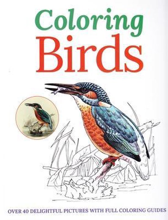 Colouring Birds