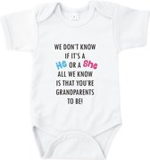Babyrompertje We don't know if it's a he or a she. All we know is that you're grandparents to be!
