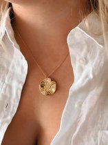 Petit Comite - dames ketting goud met medaillon - 925 sterling silver | cadeau dames