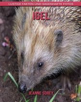 Igel