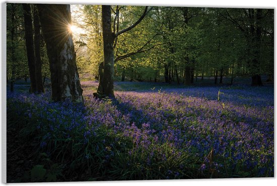 Acrylglas –Bloemenveld aan de Berg– 100x200cm Foto op (Wanddecoratie op Acrylglas)