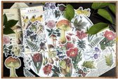 Deco stickers Natural Collection - 60 stuks - Planten en Paddenstoelen sticker - Planten - Bloemen - Paddenstoelen - Bulletjournal - Stickers Voor Volwassenen - Scrapbooking - Agen