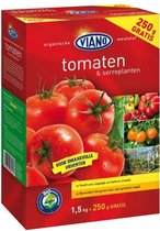 Tomates Viano 1,5 kg + 250 g GRATUIT
