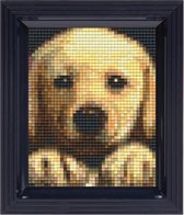 pixel hobby geschenkdoos puppy