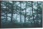 Dibond –Mistig Bos vol Bomen– 120x80 Foto op Aluminium (Wanddecoratie van metaal)