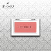 FOCALLURE FRESH BLUSH / FA-77 / C08 ZINNOBER