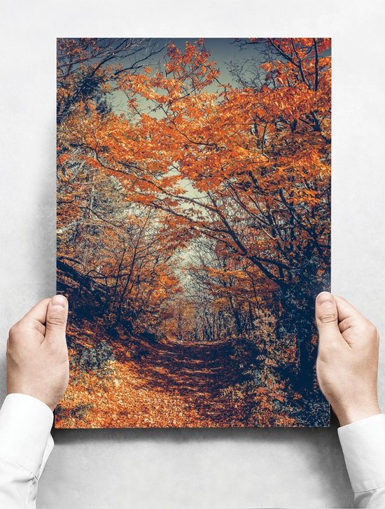 Wandbord: Rustgevende herfstfoto met gevallen bladeren - 30 x 42 cm