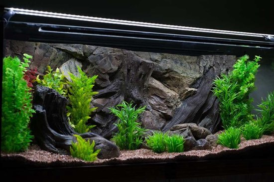 Nodig uit Wees lading Aquarium-Terrarium achterwand type Root 80*40 in 1 deel | bol.com